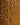 Wood on Wall