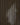 Wood on Wall
