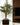 Wood on Wall