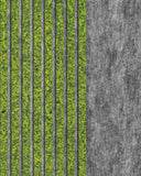 Varuprov Akustikpanel Organoid® - Moss Mix - Wood on Wall  