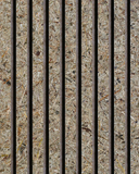 Akustikpanel Organoid® - Wildspitze Daisies - Wood on Wall  