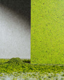 Varuprov Designpanel Organoid® - Moss Light Green - Wood on Wall  