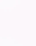 Designpanel Fenix - Bianco Alaska - Wood on Wall  