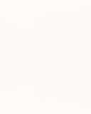 Designpanel Fenix - Bianco Malé - Wood on Wall  