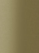 Akustikpanel  Alu Crossbrushed Goldtone