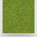 Design panels in natural materials