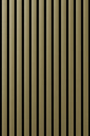 Akustikpanel  Alu Crossbrushed Goldtone