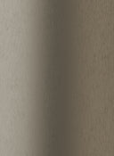 Varuprov Designpanel Alu Brushed Champagne