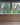 Wood on Wall 