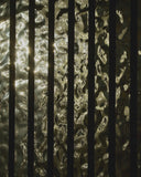 Akustikpaneel Alu Hochglanzpoliert Lava Goldton