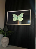 Akustikpanel Ek - Svartlackad