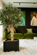 Woodbox Ek - Svartlackad