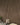 Wood on Wall 